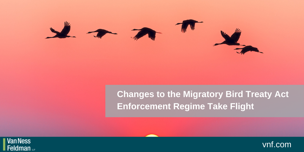 Changes to the Migratory Bird Treaty Act Enforcement Regime Take Flight